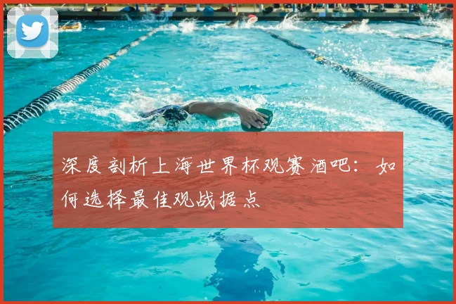 深度剖析上海世界杯观赛酒吧：如何选择最佳观战据点