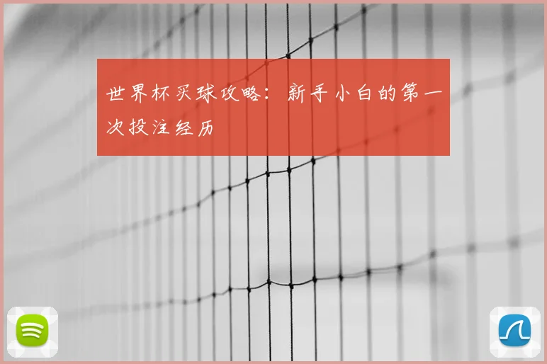 世界杯买球攻略:新手小白的第一次投注经历