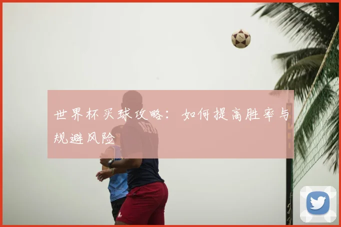 世界杯买球攻略:如何提高胜率与规避风险