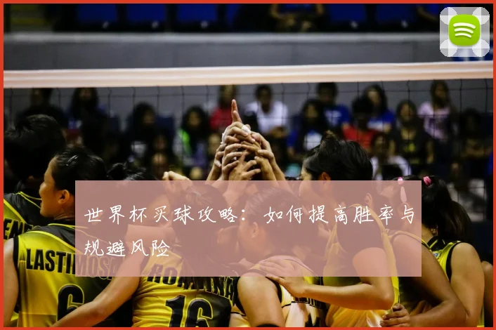 世界杯买球攻略:如何提高胜率与规避风险