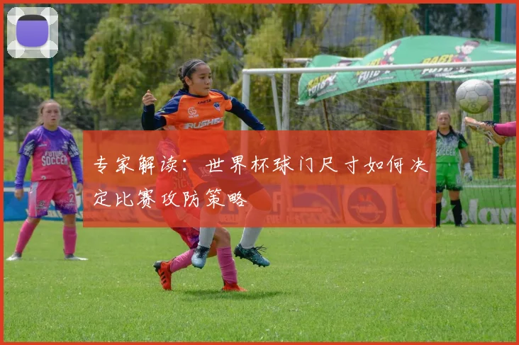 专家解读:世界杯球门尺寸如何决定比赛攻防策略