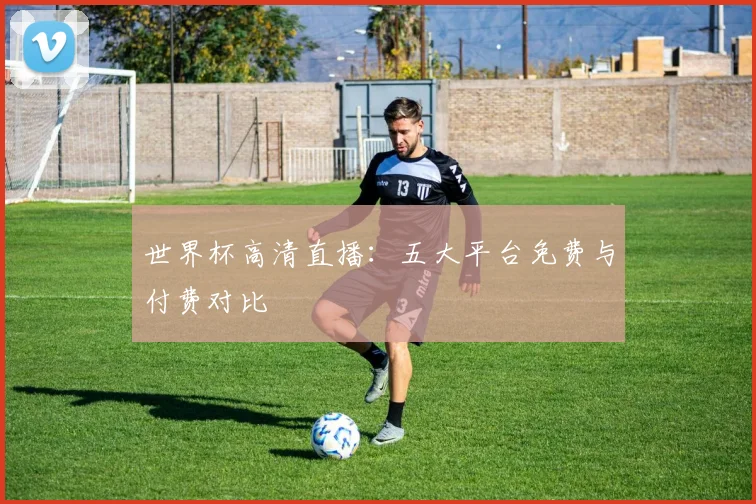 世界杯高清直播:五大平台免费与付费对比